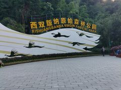 -西双版纳原始森林公园