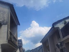 -杨梅坑
