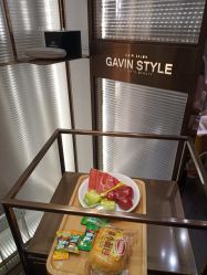 -崇尚GAVIN STYLE臻选