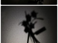 -上海当代艺术博物馆