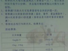 -良成狗狗乐园