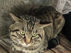 -正阳书局(西四南大街店)