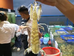 -国际金钻海鲜餐厅