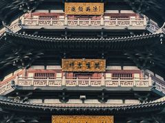 -红梅公园