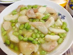-老品芳