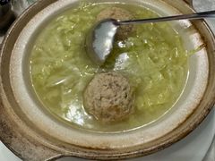 -丁老爷子苏香圆