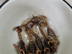 -国英炖品店(甲子路店)