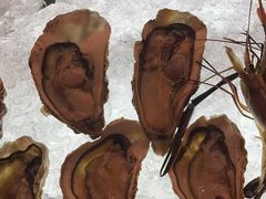 -济南凯宾斯基酒店-THE VIEW云景全日制餐厅