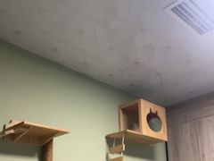 -半岛宠物医院24小时(白果林店)