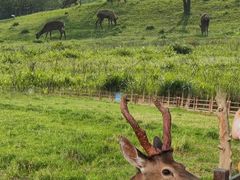 -良渚古城遗址公园