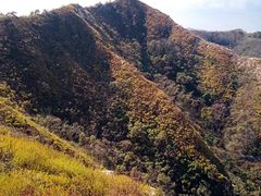 -里口山风景名胜区