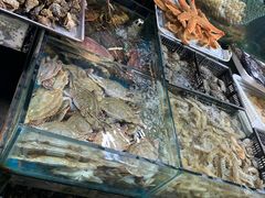 -姥姥家大缸烧烤(台东店)