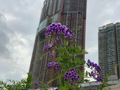 -香港ELEMENTS圆方