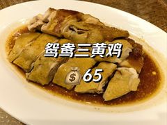 -老广酒楼(樱花店)