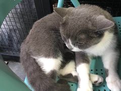 -MIKAKU(万达广场上海宝山店)