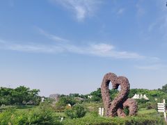 -紫颐香薰山谷景区