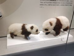 -四川大学博物馆