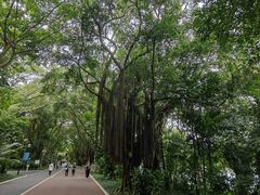 -南宁南湖公园