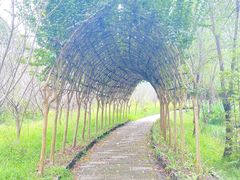 -黄陂区野村谷景区