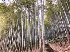 景点-五泄景区