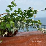 大连郊游 | 能见山 能见海 也能见你的地方