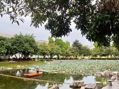 -广西大学(大学东路校区)