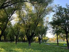 -太阳宫公园