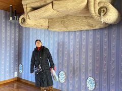 -金山农民画村-枫泾波兰倒置屋