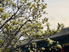 -恭王府博物馆