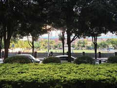 -咕摩柠·手打柠檬茶(金湖店)