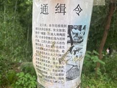 -巢湖姥山岛
