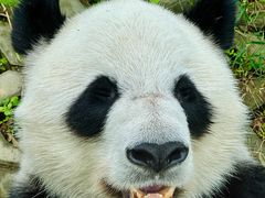 -泉州海丝野生动物世界