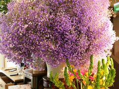 -春暖花开(西溪店)