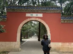 -灵谷景区