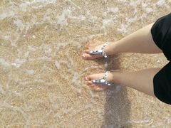 -西涌国际滨海旅游区