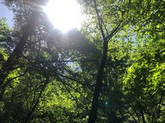 -秦岭天竺山景区
