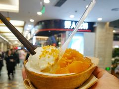 -野人先生现做冰淇淋(西安赛格店)