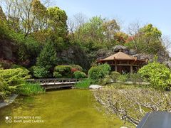 -上海吴淞炮台湾国家湿地公园