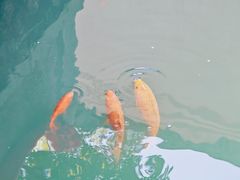 -墨池公园