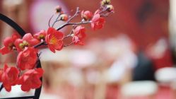 -广州富力君悦大酒店·宴会厅