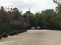 -观澜山水田园