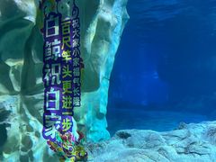 -珠海长隆海洋王国