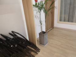 -静待花开瑜伽尊巴会馆