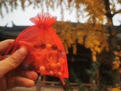 -古大圣慈寺
