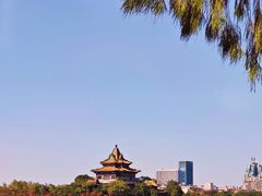 -顺峰山公园