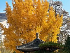 -迎泽公园