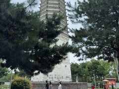 -舍利塔滩地公园-无垢净光舍利塔