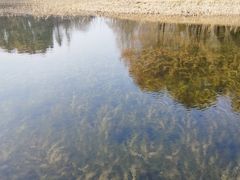 -同里国家湿地公园