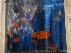 -齐家花园大酒店(宝山店)