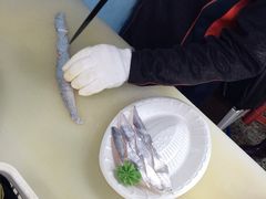 -西归浦每天偶来市场